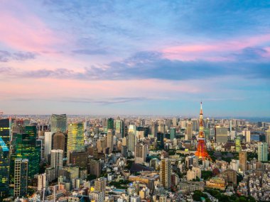 Japonya'da günbatımı zaman şehirde bina mimari ve tokyo kule güzel havadan görünümü