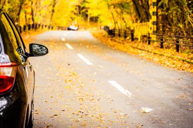 Sonbahar sezonu ağaç ormanı etrafında yolda araba