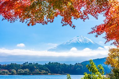 Dağ fuji akçaağaç yaprağı ağaç göl sonbahar sezonu ile güzel manzara