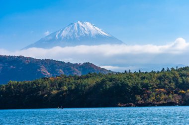 Güzel manzara dağ fuji göl sonbahar sezonu Yamanashi Japonya akçaağaç ağaç yaprak ile