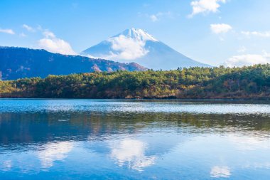 Güzel manzara dağ fuji göl Yamanashi Japonya akçaağaç ağaç yaprak ile