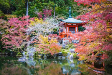 Renkli ağaç ve yaprak sonbahar sezonu Kyoto Japonya ile güzel Daigoji Tapınağı