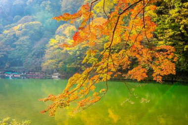 Akçaağaç ağaç yaprak ve sonbahar sezonu Kyoto Japonya göl etrafında tekne ile güzel Arashiyama Nehri
