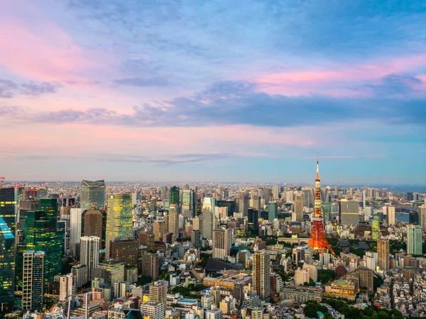 Japonya'da günbatımı zaman şehirde bina mimari ve tokyo kule güzel havadan görünümü