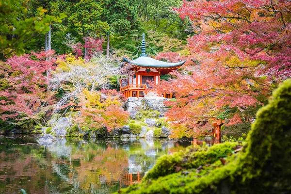 Renkli Ağaç Yaprak Sonbahar Sezonu Kyoto Japonya Ile Güzel Daigoji — Stok fotoğraf