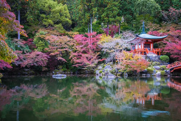 美丽的大国寺与五颜六色的树和叶子在秋天季节京都日本 — 图库照片