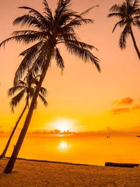 Hermosa Playa Tropical Mar Océano Con Palmera Coco Amanecer Para — Foto de Stock