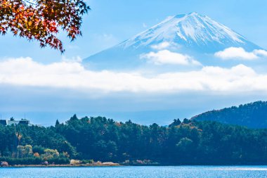 Dağ fuji akçaağaç yaprağı ağaç göl sonbahar sezonu ile güzel manzara