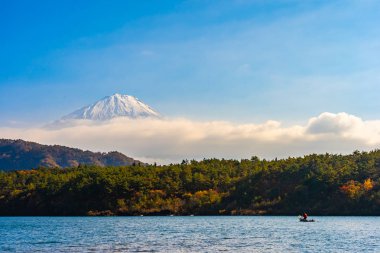 Dağ fuji sonbahar sezonu Yamanashi Japonya Gölü çevresinde ağaç yaprak tekne ve akçaağaç ile güzel manzara