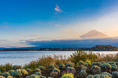 Dağ fuji akçaağaç yaprağı ağaç göl günbatımı zaman Yamanashi Japonya sonbahar sezonu ile güzel manzara