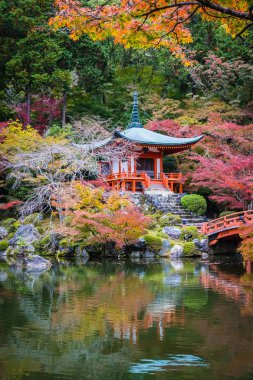 Renkli ağaç ve yaprak sonbahar sezonu Kyoto Japonya ile güzel Daigoji Tapınağı