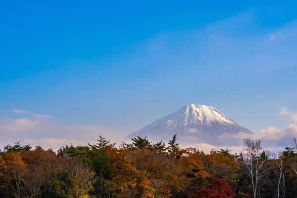 Bellissimo Paesaggio Montagna Fuji Con Acero Foglia Intorno Lago Nella — Foto Stock