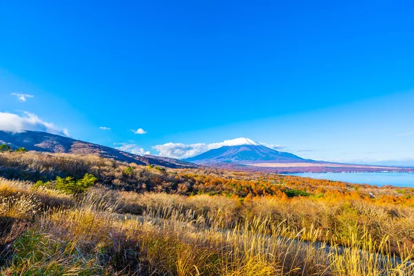 Vackra Landskap Fuji Berg Yamanakako Eller Yamanaka Lake Höstsäsongen Japan — Stockfoto