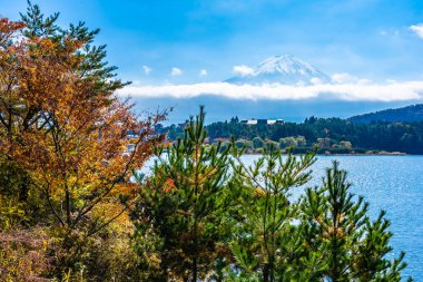 Dağ fuji akçaağaç yaprağı ağaç göl sonbahar sezonu ile güzel manzara
