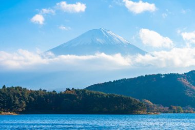 Güzel manzara dağ fuji göl Yamanashi Japonya akçaağaç ağaç yaprak ile