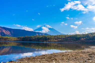 Güzel manzara dağ fuji göl Yamanashi Japonya akçaağaç ağaç yaprak ile