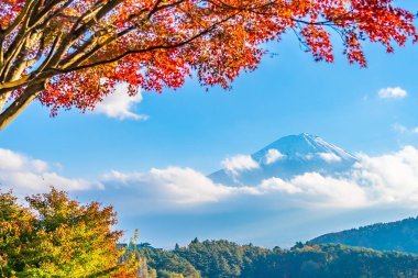 Güzel manzara dağ fuji göl Yamanashi Japonya akçaağaç ağaç yaprak ile
