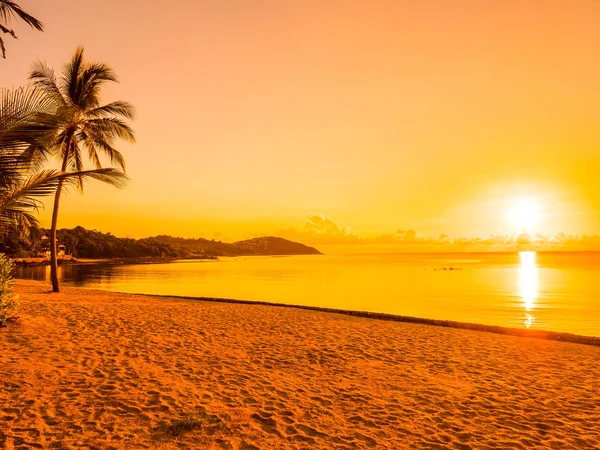 Schöner Tropischer Strand Meer Und Ozean Mit Kokospalmen Bei Sonnenaufgang — Stockfoto