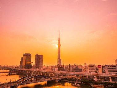 Mimarlık ve yapı tokyo şehir Japonya gündoğumu zaman çevresinde ağaç tokyo gökyüzü ile güzel cityscape
