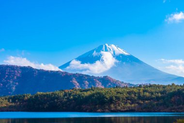 Güzel manzara dağ fuji göl Yamanashi Japonya akçaağaç ağaç yaprak ile