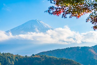 Güzel manzara dağ fuji göl Yamanashi Japonya akçaağaç ağaç yaprak ile