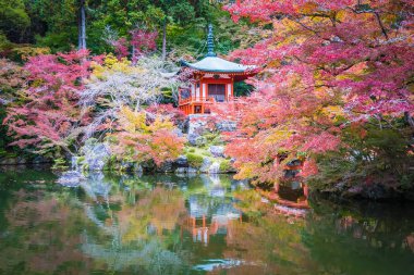 Renkli ağaç ve yaprak sonbahar sezonu Kyoto Japonya ile güzel Daigoji Tapınağı