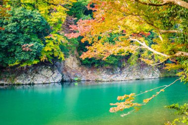 Akçaağaç ağaç yaprak ve sonbahar sezonu Kyoto Japonya göl etrafında tekne ile güzel Arashiyama Nehri