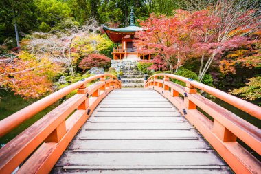 Renkli ağaç ve yaprak sonbahar sezonu Kyoto Japonya ile güzel Daigoji Tapınağı