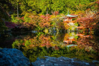 Renkli ağaç ve yaprak sonbahar sezonu Kyoto Japonya ile güzel Daigoji Tapınağı