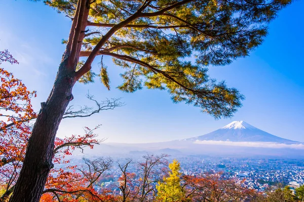 Dağ fuji chureito pagoda akçaağaç ağaç yaprak sonbahar sezonu Yamanashi Japonya çevresinde ile güzel manzara
