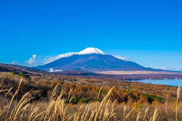 Vackra Landskap Fuji Berg Yamanakako Eller Yamanaka Lake Höstsäsongen Japan — Stockfoto