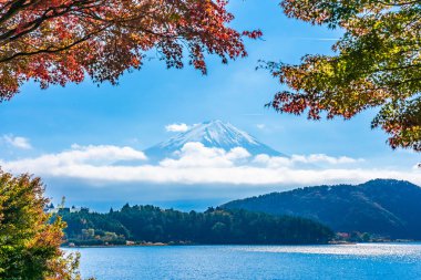 Dağ fuji akçaağaç yaprağı ağaç göl sonbahar sezonu ile güzel manzara