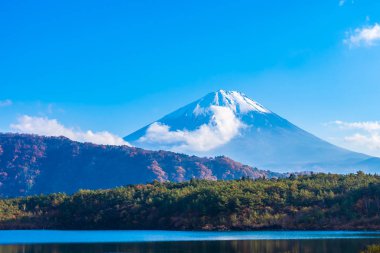 Güzel manzara dağ fuji göl Yamanashi Japonya akçaağaç ağaç yaprak ile
