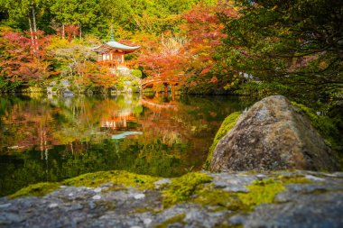 Renkli ağaç ve yaprak sonbahar sezonu Kyoto Japonya ile güzel Daigoji Tapınağı
