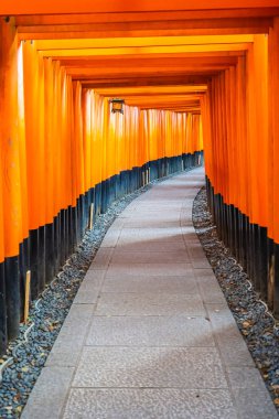 Güzel fushimi Inari tapınak tapınak Kyoto Japonya'da