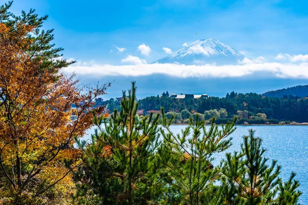 Dağ fuji akçaağaç yaprağı ağaç göl sonbahar sezonu ile güzel manzara