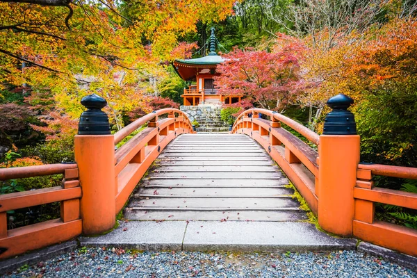 Belo Templo Daigoji Com Árvore Colorida Folha Temporada Outono Kyoto — Fotografia de Stock