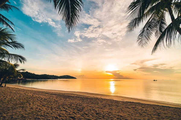 Günbatımı zaman tropik cennet ada plaj ve deniz ile Hindistan cevizi palmiye ağacı üzerinde tatil ve tatil için