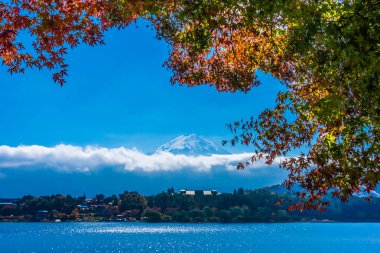 Dağ fuji akçaağaç yaprağı ağaç göl sonbahar sezonu ile güzel manzara
