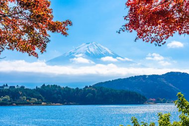 Dağ fuji akçaağaç yaprağı ağaç göl sonbahar sezonu ile güzel manzara