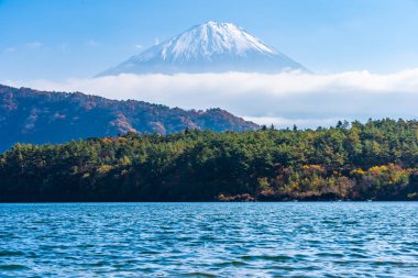 Güzel manzara dağ fuji göl sonbahar sezonu Yamanashi Japonya akçaağaç ağaç yaprak ile