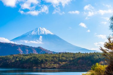 Güzel manzara dağ fuji göl Yamanashi Japonya akçaağaç ağaç yaprak ile