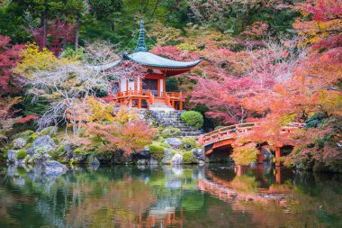 Renkli ağaç ve yaprak sonbahar sezonu Kyoto Japonya ile güzel Daigoji Tapınağı
