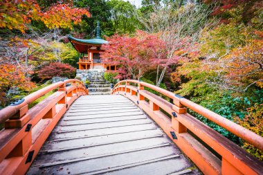 Renkli ağaç ve yaprak sonbahar sezonu Kyoto Japonya ile güzel Daigoji Tapınağı