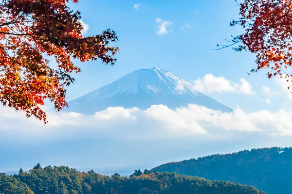 Beautiful Landscape Mountain Fuji Maple Leaf Tree Lake Yamanashi Japan — Stock Photo, Image