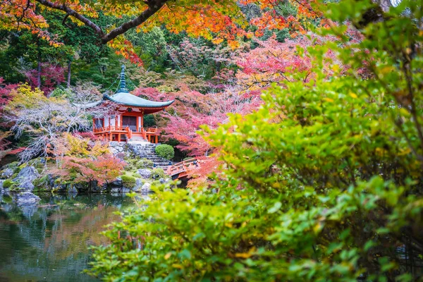 美丽的大国寺与五颜六色的树和叶子在秋天季节京都日本 — 图库照片