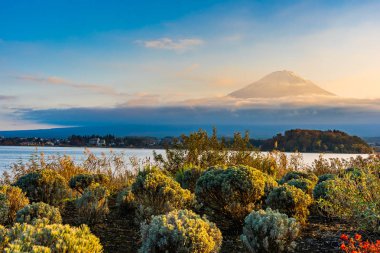 Dağ fuji akçaağaç yaprağı ağaç göl günbatımı zaman Yamanashi Japonya sonbahar sezonu ile güzel manzara