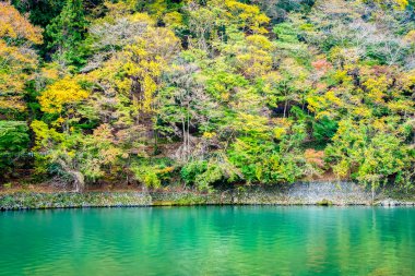 Akçaağaç ağaç yaprak ve sonbahar sezonu Kyoto Japonya göl etrafında tekne ile güzel Arashiyama Nehri