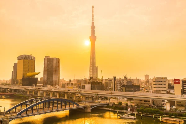 Tokyo City Tokyo Gökyüzü Ağaca Gündoğumu Japonya Ile Bina Güzel — Stok fotoğraf