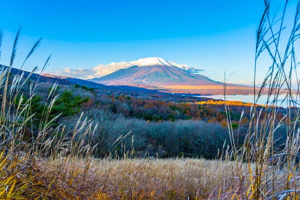 Bela Paisagem Montanha Fuji Yamanakako Lago Yamanaka Temporada Outono Japão — Fotografia de Stock